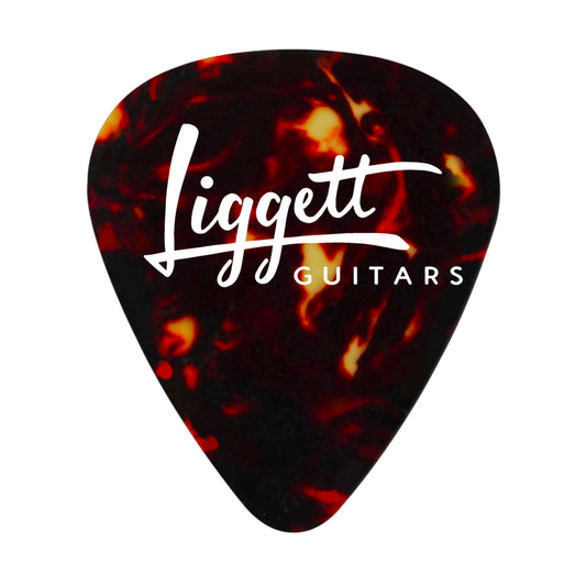 Guitar Picks (10 count) - 100 Entries!!!